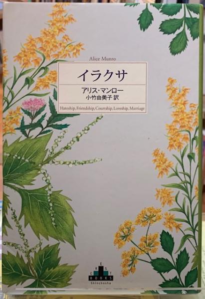 寺田正　 　　薊花 美品 寺田正 薊花 美品 【公式通販】