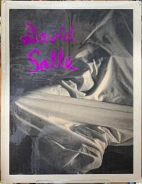 David Salle