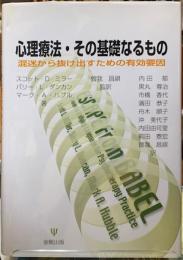 心理療法・その基礎なるもの　混迷から抜け出すための有効要因