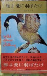雁よ 愛に羽ばたけ