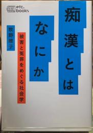 痴漢とはなにか　被害と冤罪をめぐる社会学