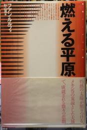燃える平原
