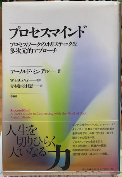 プロセスマインド　プロセスワークのホリスティック&多次元的アプローチ プロセスマインド プロセスワークのホリスティック＆多次元的