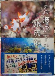 湘南　波の下水族館