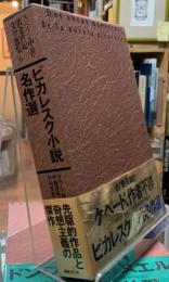 ピカレスク小説名作選　スペイン中世黄金世紀文学選集６