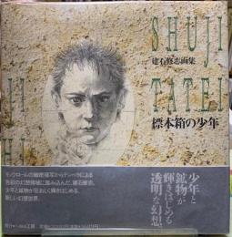 標本箱の少年　建石修志画集