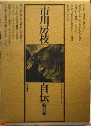 市川房枝自伝　戦前編
