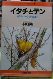 イタチとテン 森をかけめぐる万能選手