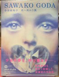 合田佐和子　光へ向かう旅