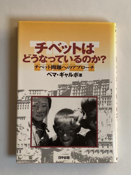 世紀末ウィーン : 政治と文化(カール・E.ショースキー 著 ; 安井