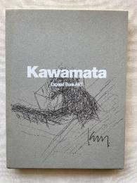 Kawamata Expand BankART　川俣正