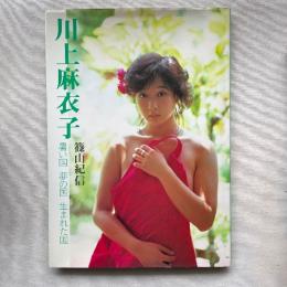 川上麻衣子　暑い国 夢の国 生まれた国