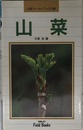 山菜 (山溪フィールドブックス 5)