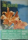 カラー海辺の花