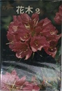 カラー 花 木 2