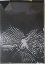 哲学探究