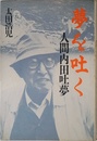 夢を吐く: 人間内田吐夢