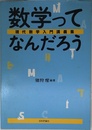 数学ってなんだろう: 現代数学入門講義集