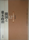 開国と幕末政治 日本歴史大系〔普及版〕 12