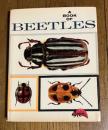 A BOOK OF BEETLES