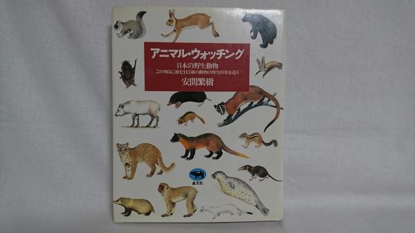 アニマル ウォッチング 日本の野生動物 安間繁樹 著 シルバー書房 古本 中古本 古書籍の通販は 日本の古本屋 日本の古本屋