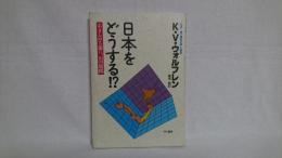日本をどうする!? : あきらめる前に、144の疑問