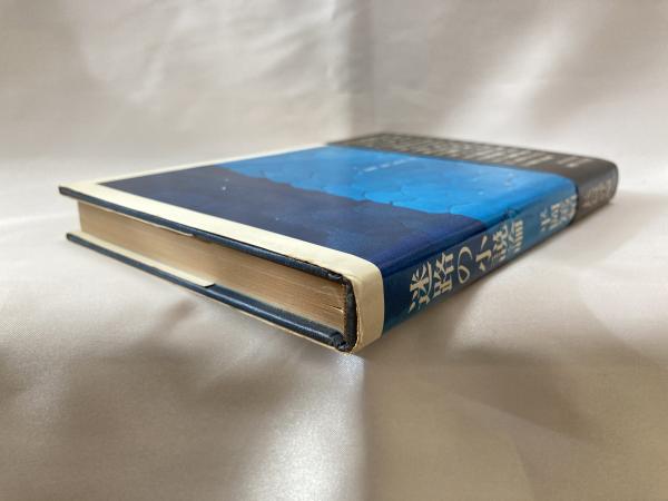 迷路の小説論(平岡篤頼 著) / 古本、中古本、古書籍の通販は