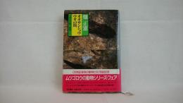 オオサンショウウオの川 : 天然記念物の動物たち