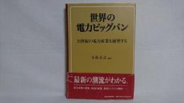 世界の電力ビッグバン : 21世紀の電力産業を展望する