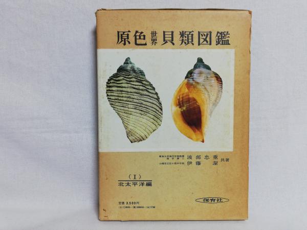 原色世界貝類図鑑(波部忠重, 伊藤潔 共著) / 古本、中古本、古書籍の