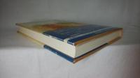 同時代を読む　1981-85