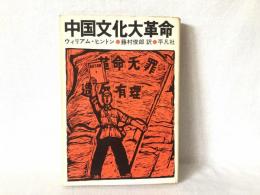 中国文化大革命 : 歴史の転轍とその方向