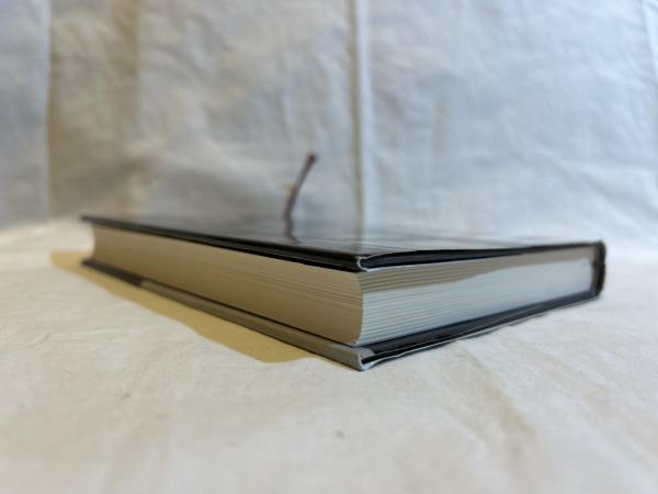 人を惚れさせる男 : 吉行淳之介伝(佐藤嘉尚 著) / シルバー書房