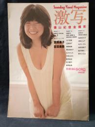 別冊BIG GORO　激写　第10号　篠山紀信全撮影　宮崎美子表紙　小学館　昭和55年