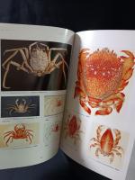 カニの姿 : 酒井コレクションから : 特別展図録