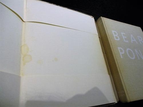 BEAR POND Bruce Weber ブルース・ウェーバー 洋書写真集(Bruce Weber
