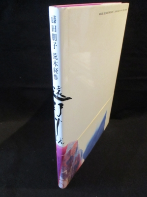 遠野小説 藤田朋子 写真集 (荒木経惟撮影) / 古本、中古本、古