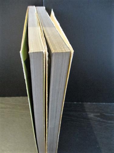 遊 9号・10号 存在と精神の系譜　上下2巻 遊 9+10 存在と精神の系譜 上下2冊揃 (松岡正剛 編 杉浦康平