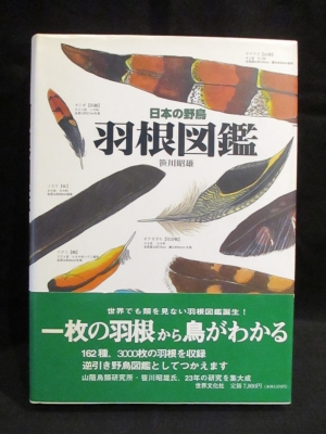 羽根図鑑 : 日本の野鳥 日本の野鳥羽根図鑑 | 笹川 昭雄 |本 | 通販 | Amazon