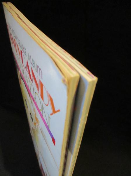 キャンディ・キャンディ イラスト集 全2冊揃 なかよしデラックス