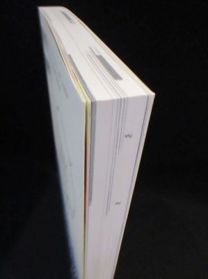 イデオンという伝説 オタク学叢書 Vol.2 (中島紳介 斎藤良一