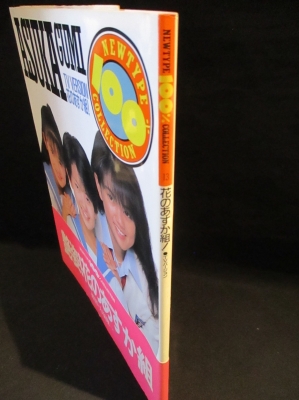 花のあすか組! TVバージョン ニュータイプ100%コレクション 13 角川