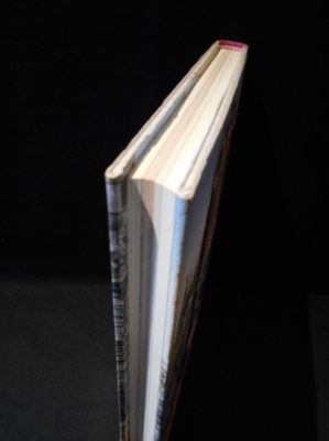 郵便配達夫シュヴァルの理想宮(岡谷公二) / 古本、中古本、古書籍の