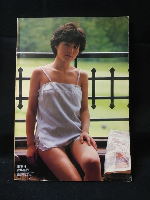 石野真子写真集 白夜の妖精 プレイボーイアイズ特別編集(沢渡朔