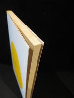 思いは生きている 想念形体 神智学叢書(アニー・ベサント