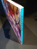 YURIE NAGASHIMA 長島有里枝写真集 (長島有里枝) / 古本、中古本、古