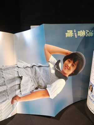 パーフェクト メモワール スーパーギャルズデラックス 堀江しのぶ 小林ひとみ 早川愛美 中沢慶子 新田恵美ほか 古書 コモド ブックス 古本 中古本 古書籍の通販は 日本の古本屋 日本の古本屋