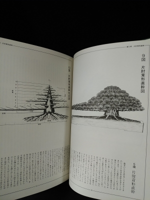 高等盆栽学教範 全4冊揃 盆栽樹形学総論上中下3冊＋盆栽樹形学