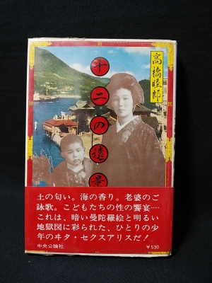 十二の遠景 高橋睦郎 古書 コモド ブックス 古本 中古本 古書籍の通販は 日本の古本屋 日本の古本屋 十二の遠景 高橋睦郎 古書 コモド ブックス 古本 中古本 古書籍の通販は 日本の古本屋 日本の古本屋