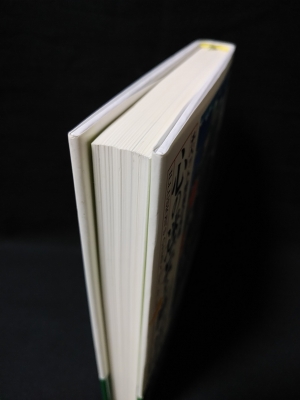 心の迷妄を断つ智慧 チベット密教の真髄 (チュギャム・トゥルンパ 宮坂